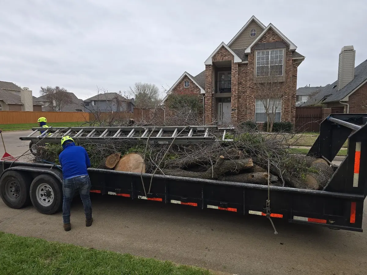 Expert Lot Clearing with proper safety equipment in Rome